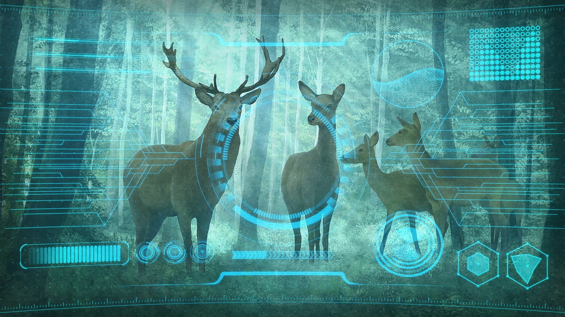 4月27日research记录